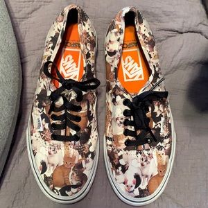 Brand new cat Vans